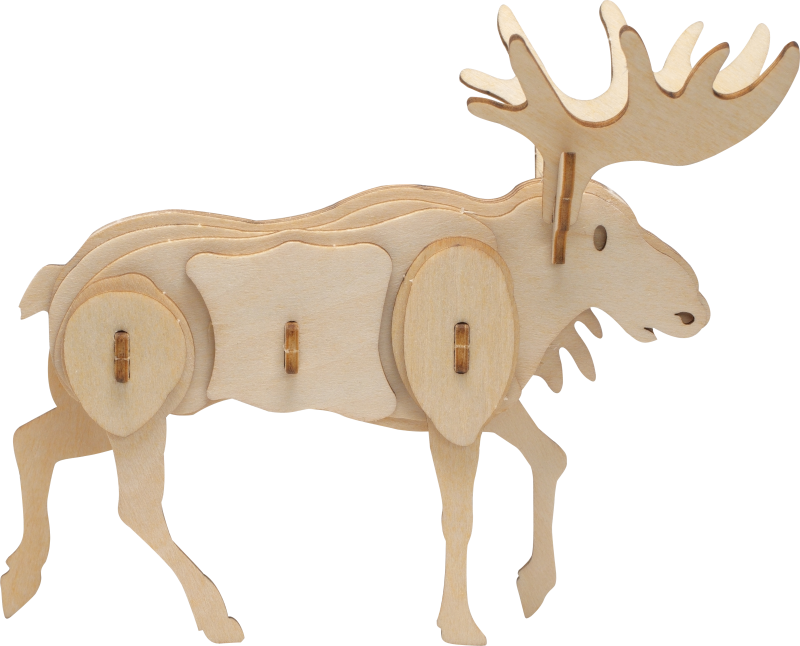 3D Moose